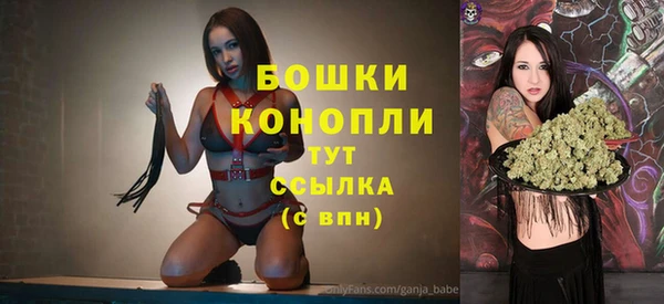 PSILOCYBIN Баксан