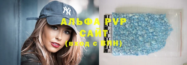 PSILOCYBIN Баксан