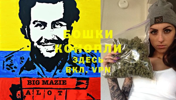 PSILOCYBIN Баксан