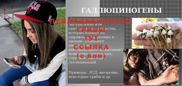 PSILOCYBIN Баксан