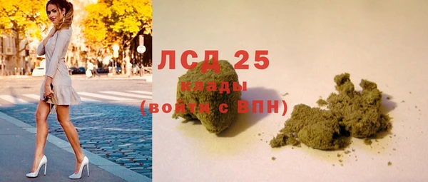 PSILOCYBIN Баксан