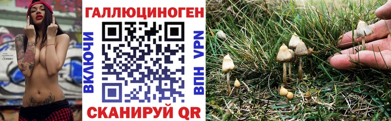 Галлюциногенные грибы Magic Shrooms  Лесозаводск 